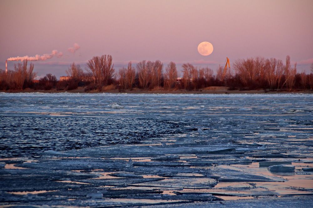 Photograph by Марина