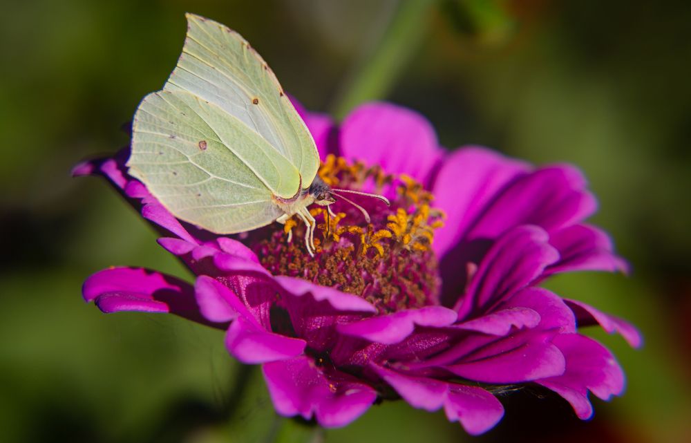 Photograph by Anatoliy Buyanov