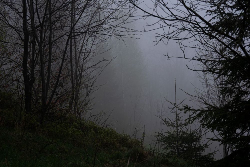 Photograph by Сидоренко Оксана