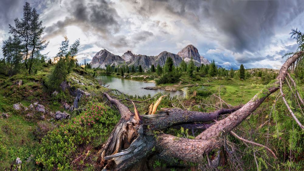 Photograph by Tommaso Corona