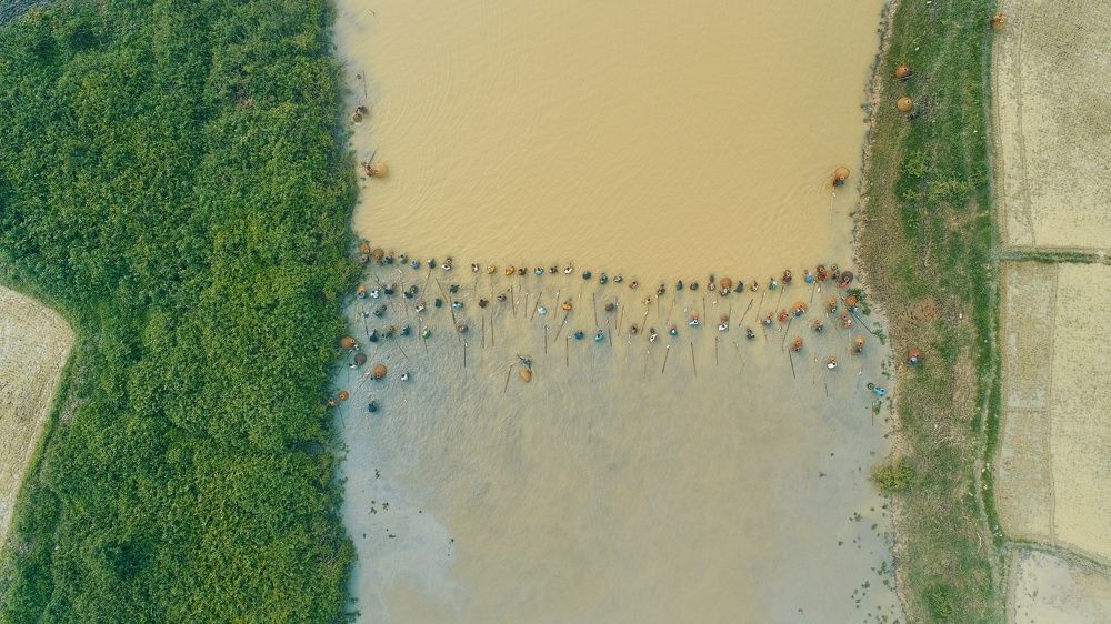 Фотография автора Md shahidul Islam