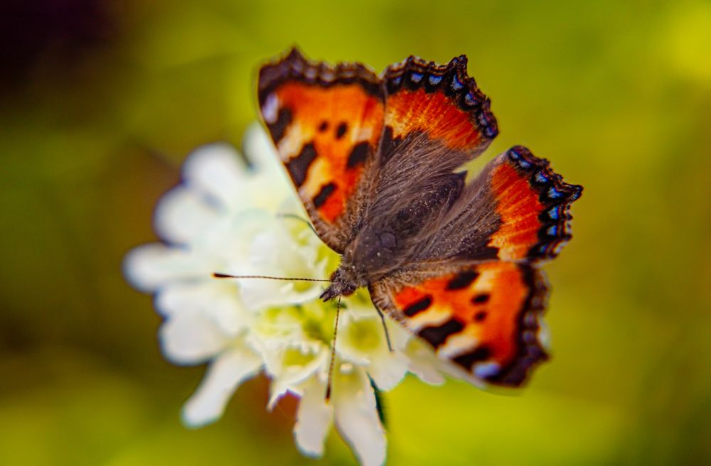 Photograph by Anatoliy Buyanov