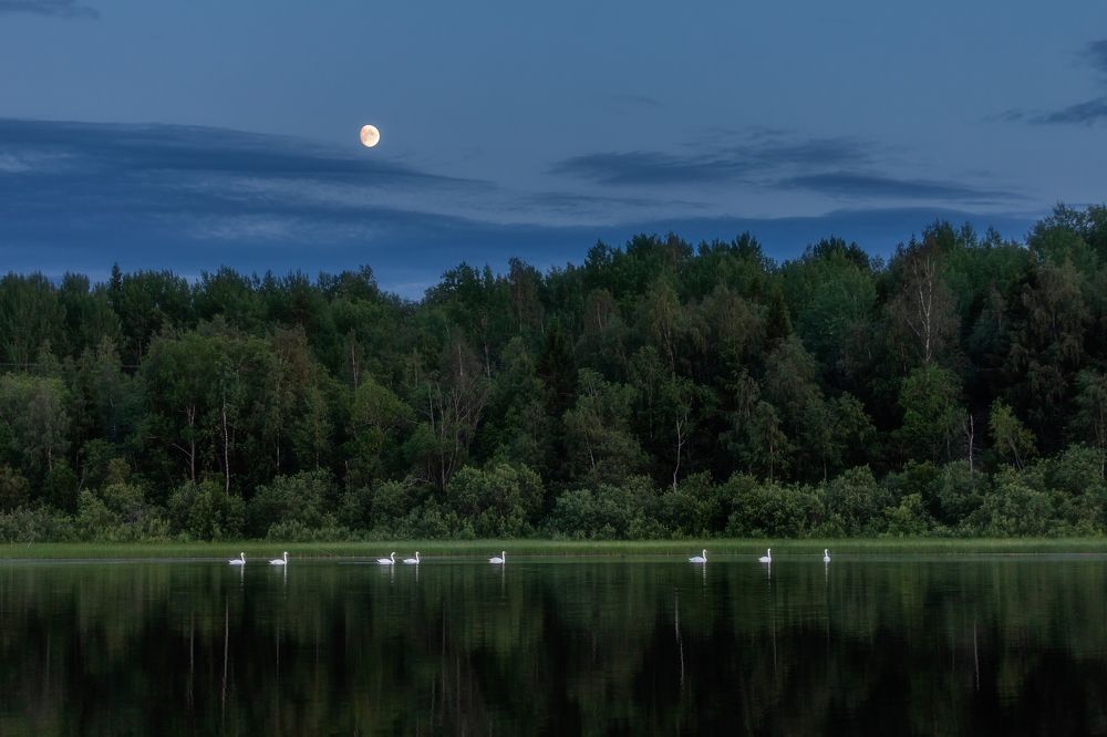 Фотография автора Александр Пашеничев