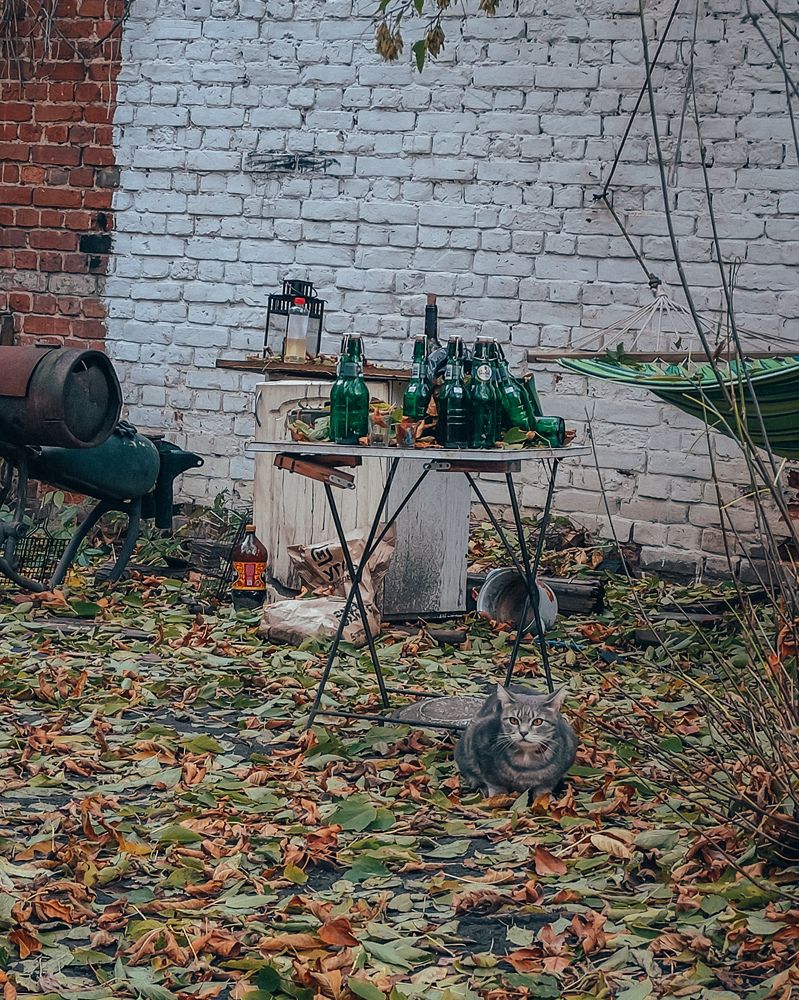 Photograph by Татьяна Штунь