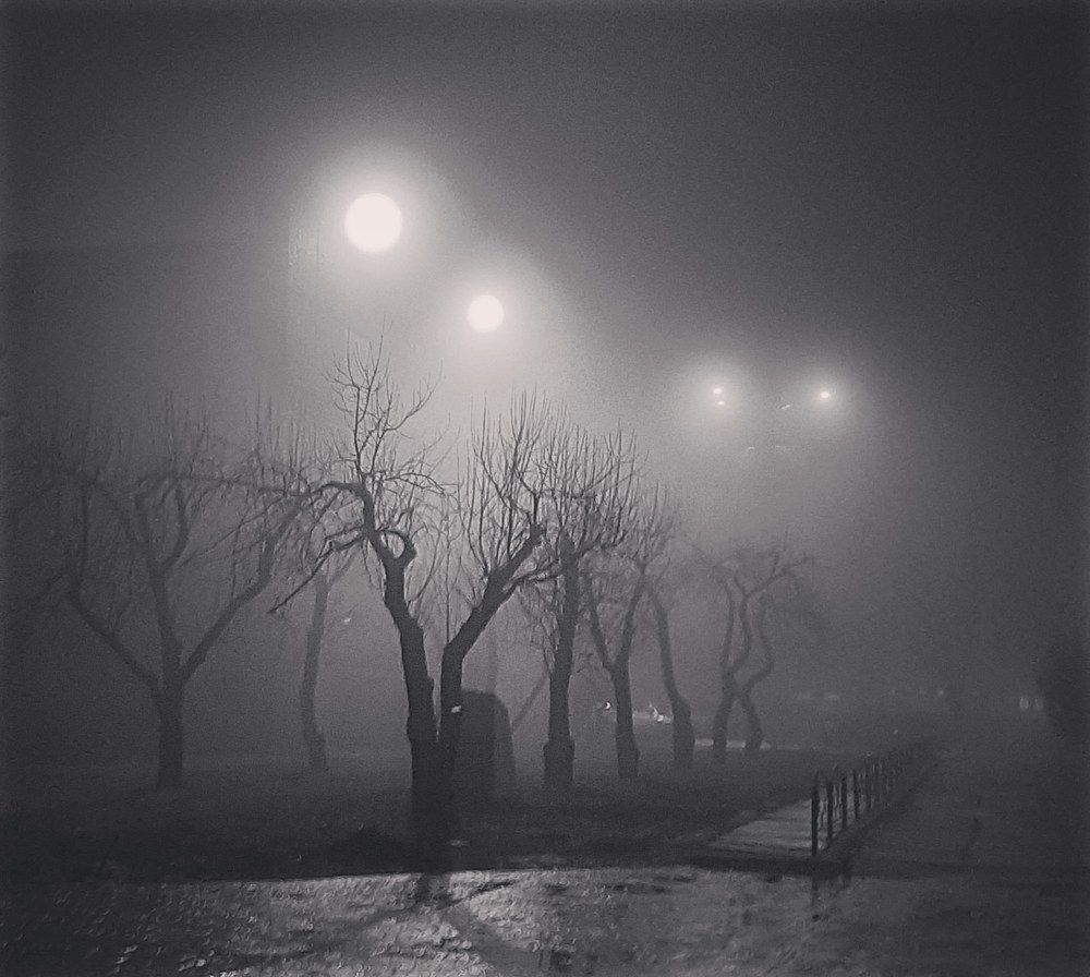 Photograph by Леонид Бойко