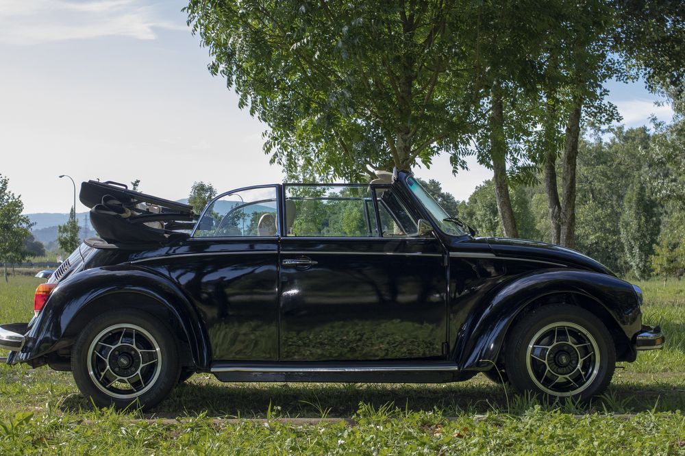 Photograph by Emi Ramirez