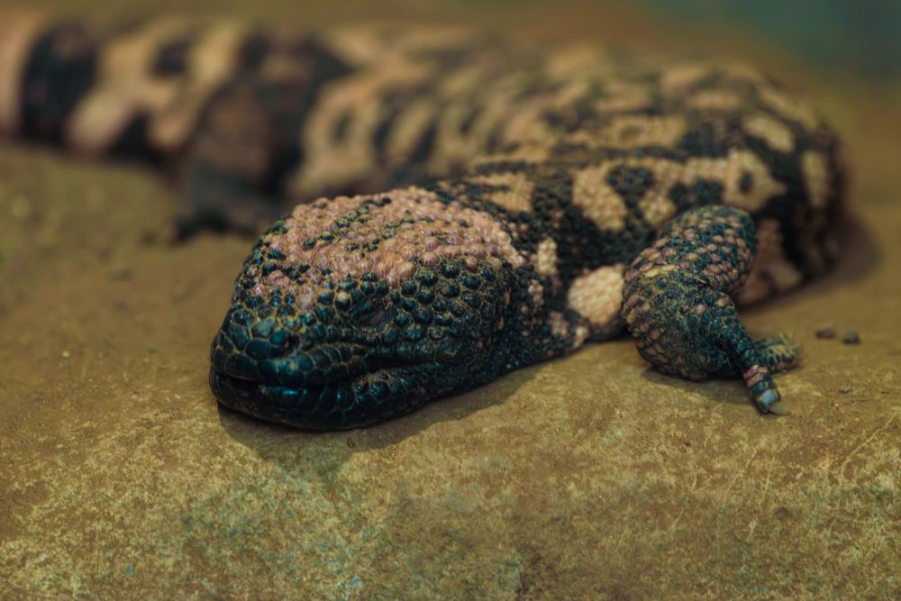 Photograph by RyanCarterMedia