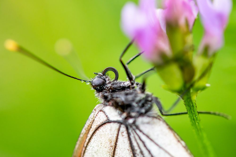 Photograph by Андрей Зуев