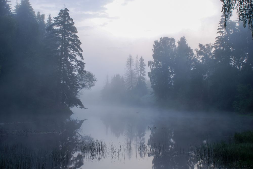 Photograph by Андрей Зуев