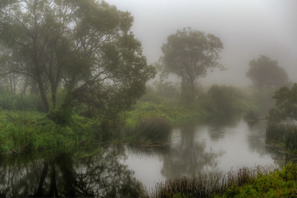 Photograph by Андрей Зуев