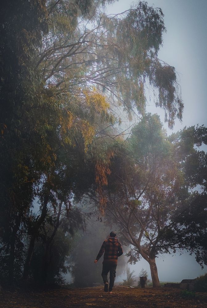 Photograph by Mosbah Hammad