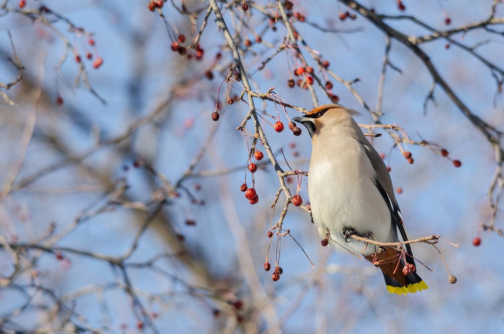 Photograph by Виктор Чернюк