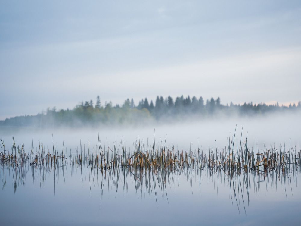 Photograph by Ксюша Черотченко