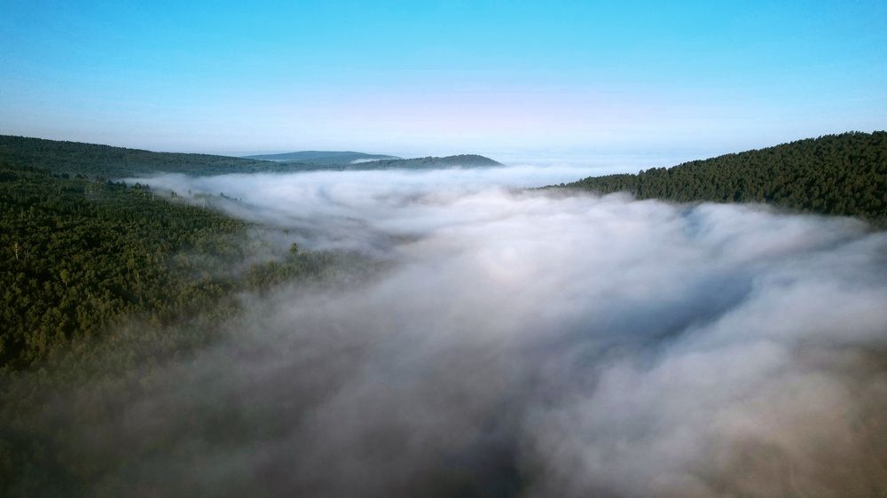 Photograph by Эдуард Горбов