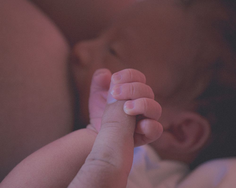 Photograph by Frank D. Domínguez