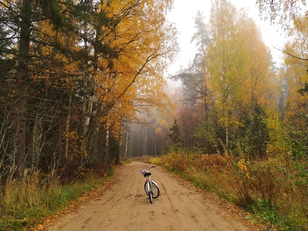 Photograph by Татьяна Хатанзейская-Любимова