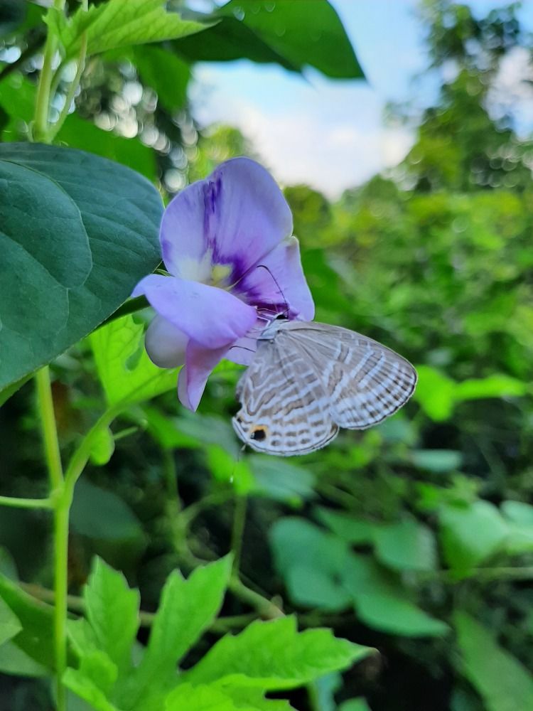 Photograph by Lahiru Prasanna