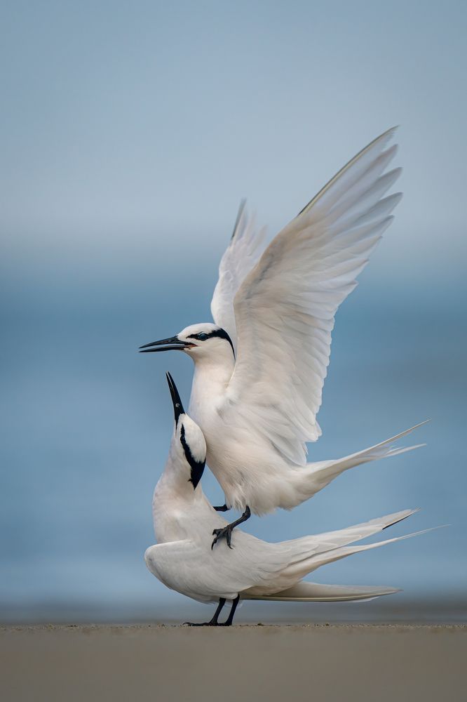 Photograph by Rin Võ