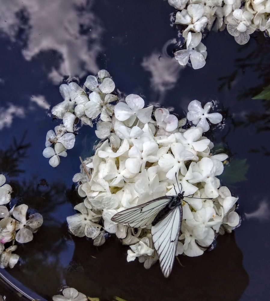 Photograph by Алиса Лукина