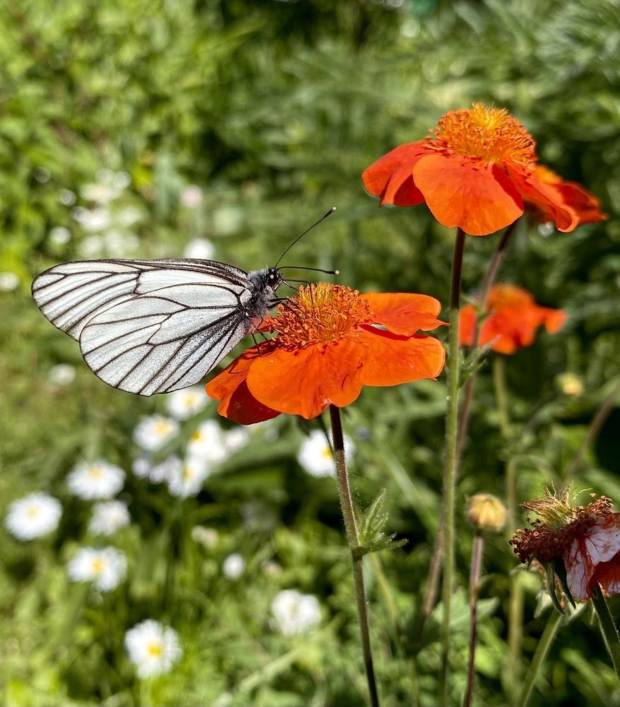 Photograph by Алиса Лукина