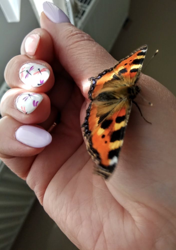 Photograph by Алиса Лукина