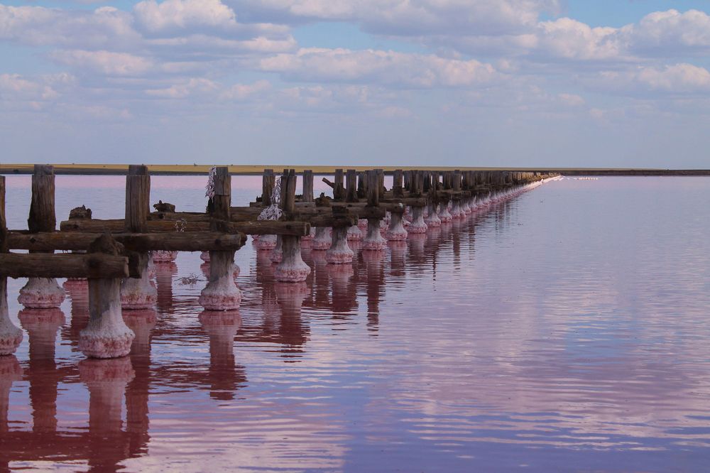 Photograph by Елена Глухарева