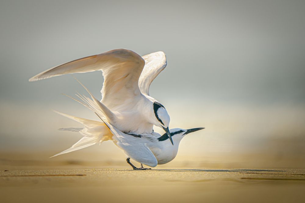 Photograph by Rin Võ