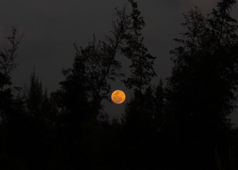 Photograph by Divyal Shinde