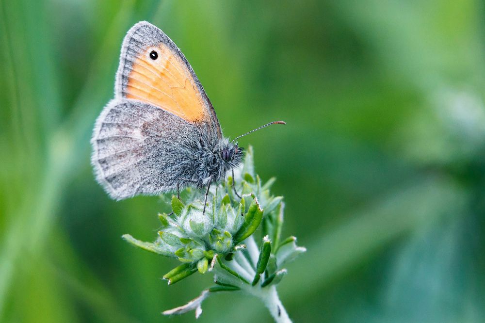 Photograph by Владимир Салапонов