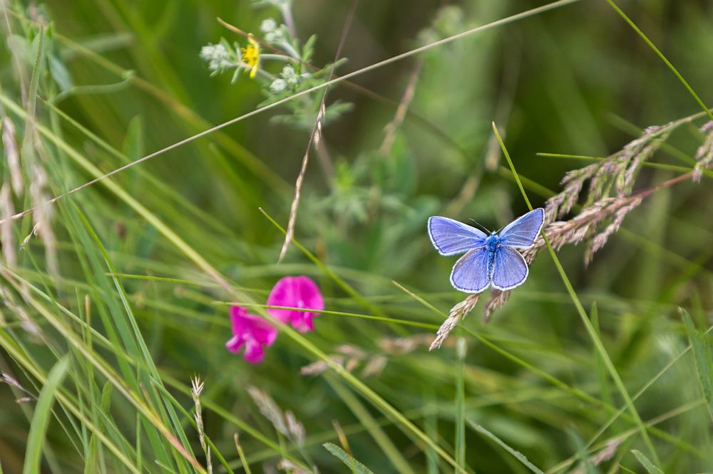 Photograph by Владимир Салапонов