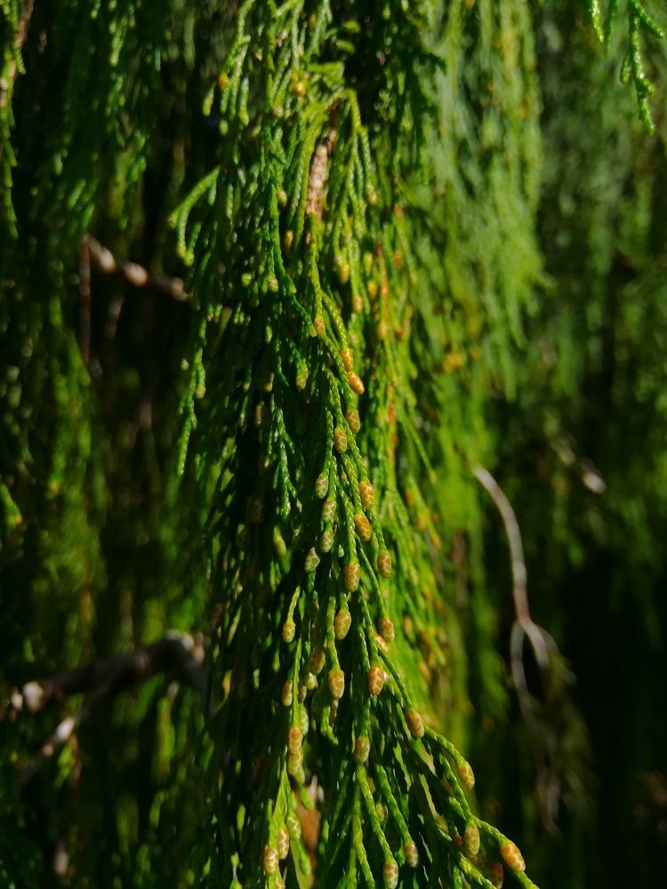 Photo #9200624