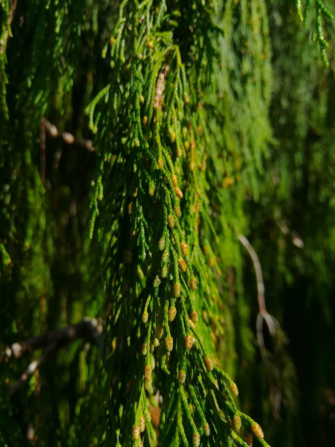 Photo #9200624
