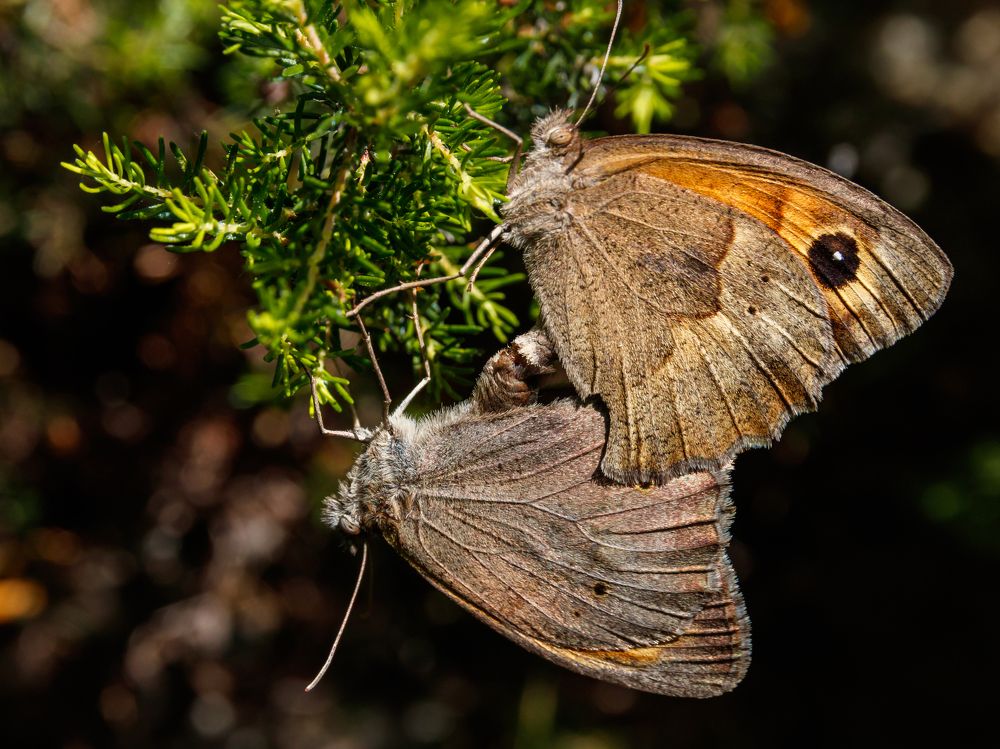 Photograph by C.V. Photography