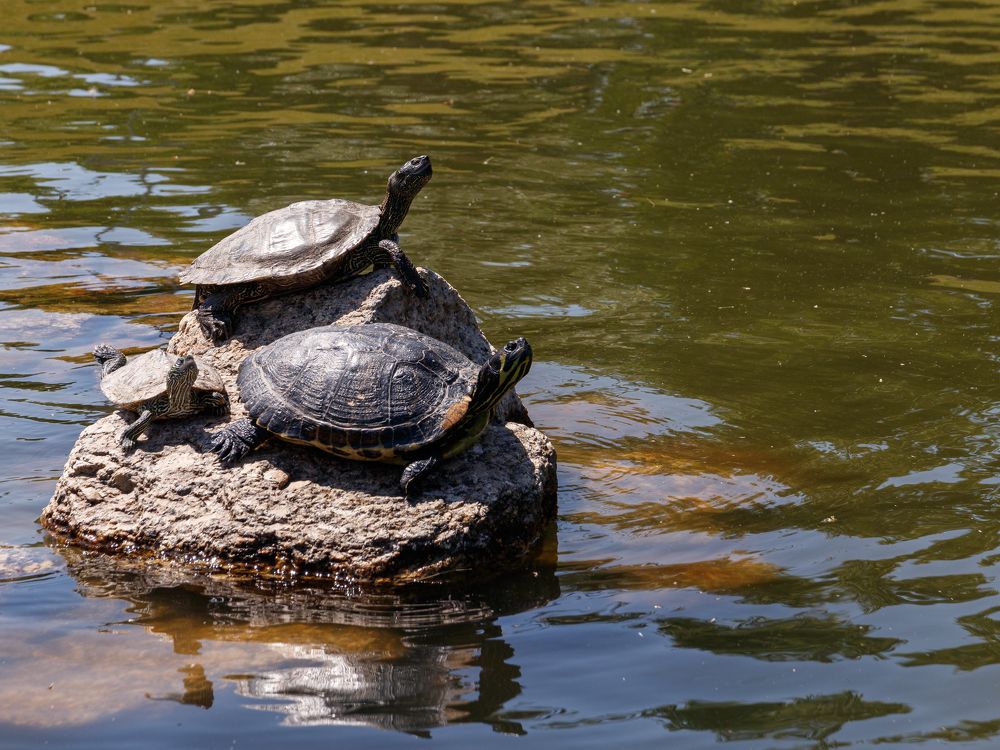 Photograph by C.V. Photography