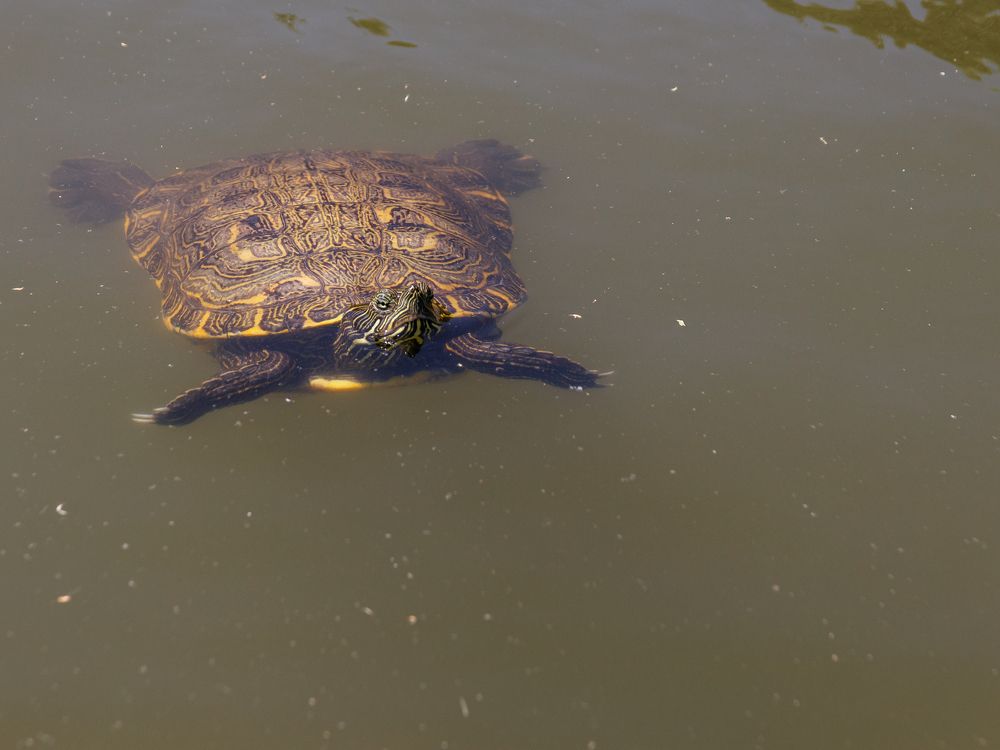 Photograph by C.V. Photography