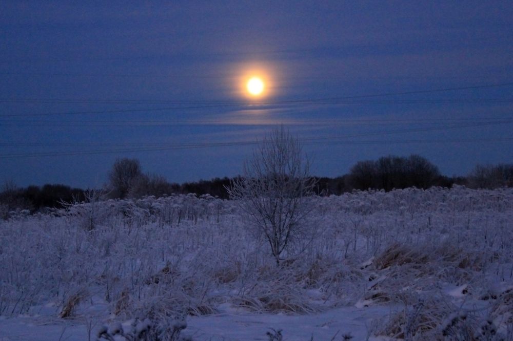 Photograph by Olga Bagaeva