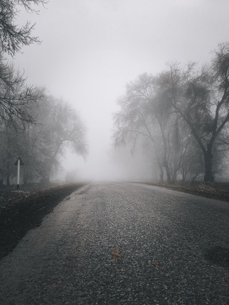 Фотография автора Кристина Шефер