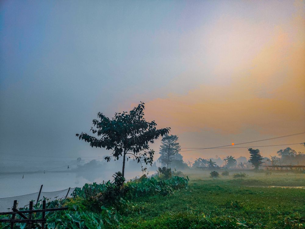 Фотография автора ANKIT GHOSH