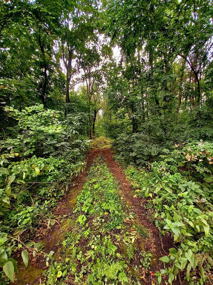 Photograph by Marina Kozlova