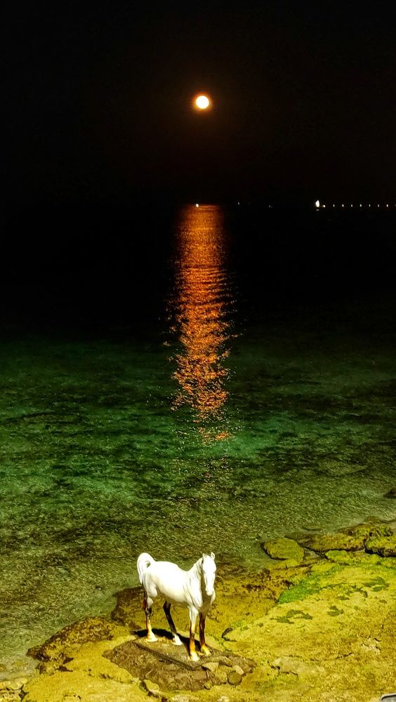 Photograph by Fatemeh Rezaei