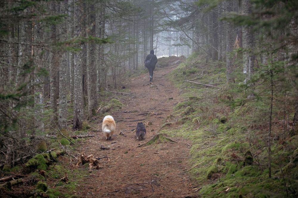 Photograph by СВЕТЛАНА ГРАЧЕВА