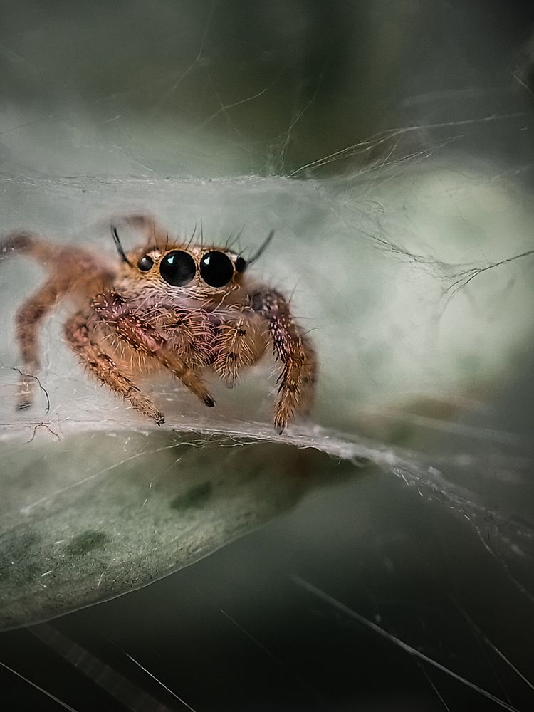 Photograph by Asna Azeez