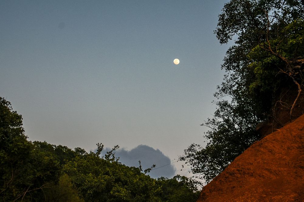 Фотография автора ABHISHEK SHAH