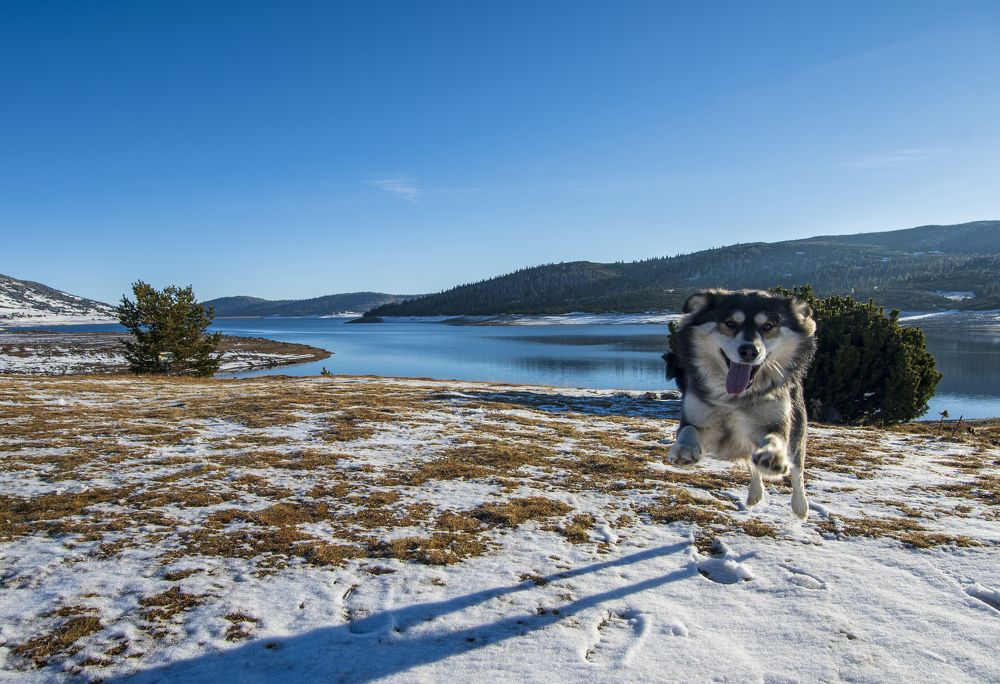 Photograph by Nikolay Dimitrov