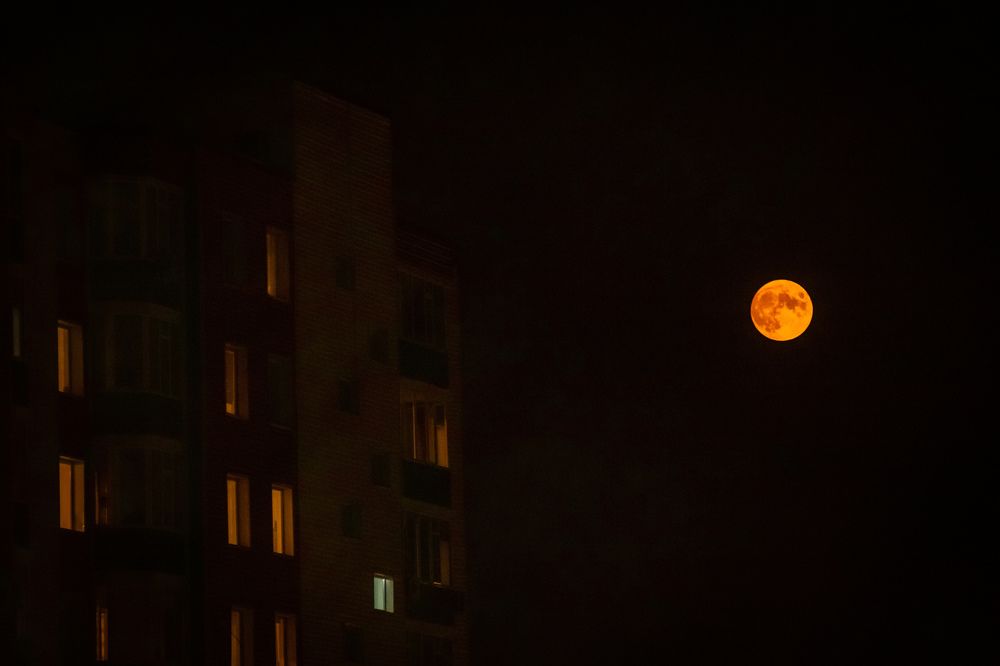 Photograph by hobbit