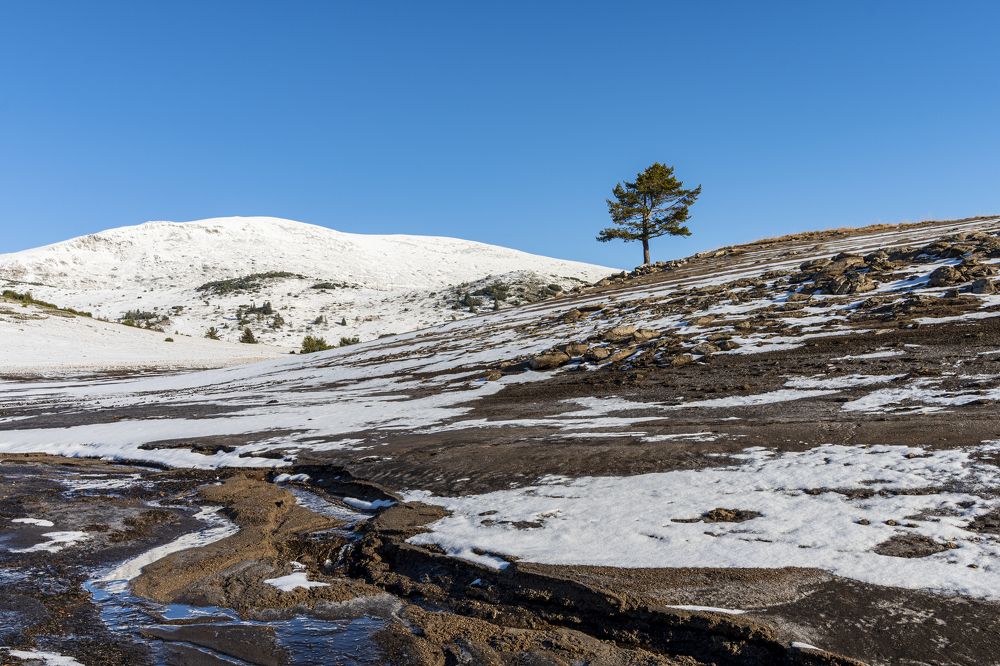 Photograph by Nikolay Dimitrov