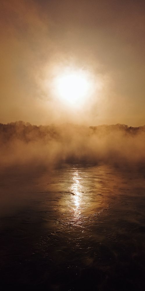 Photo #9201195