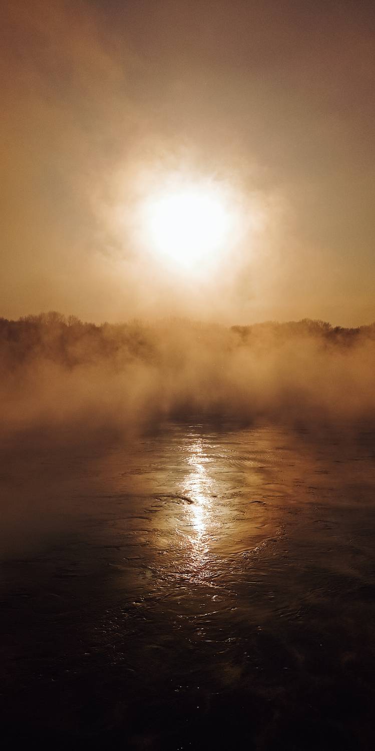 Photo #9201195