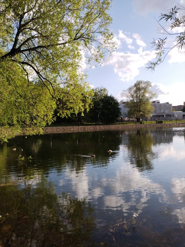 Photograph by Саманта Начкебия