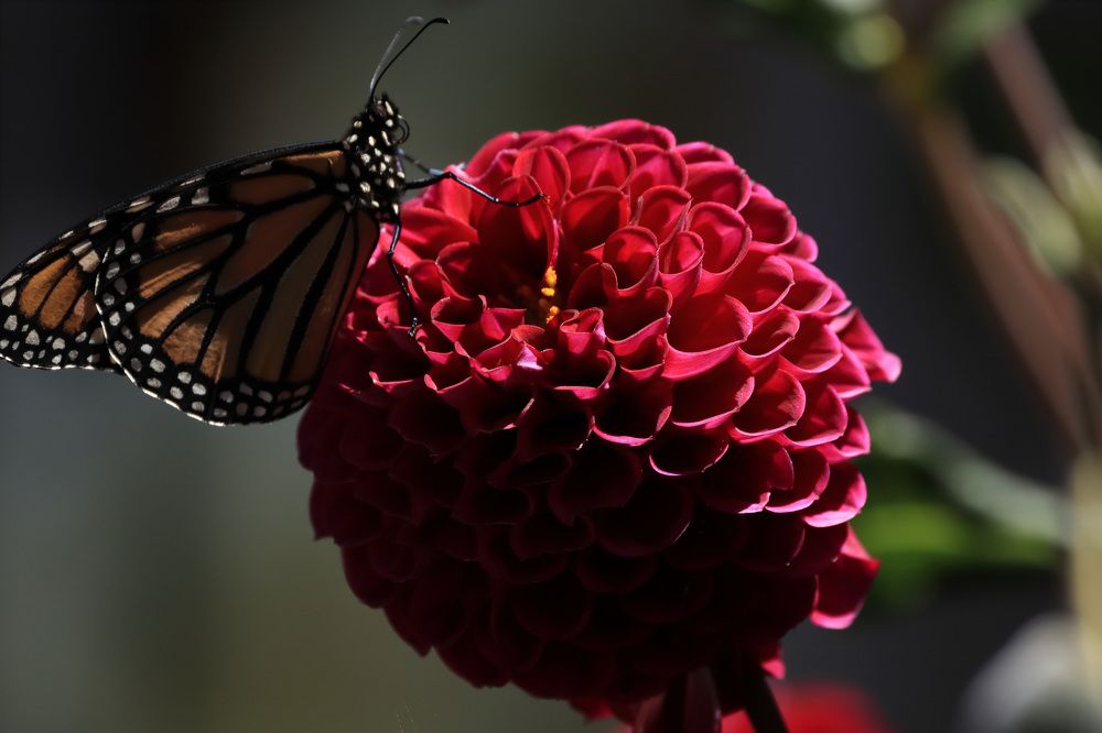 Photograph by Евгений Власов